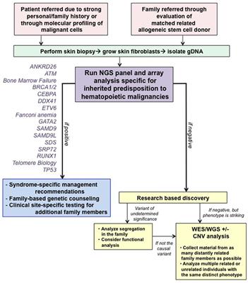 Clinical Assessment and Diagnosis of Germline Predisposition to Hematopoietic Malignancies: The University of Chicago Experience